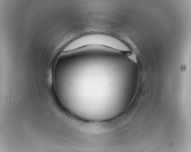 X0000089940020200707201913