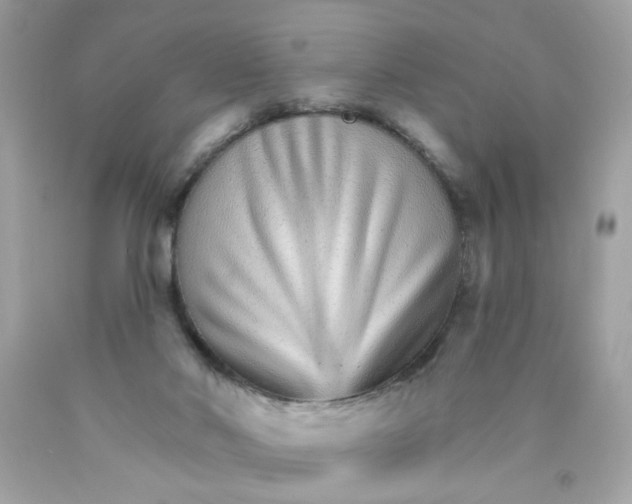 X0000089940022200707201913