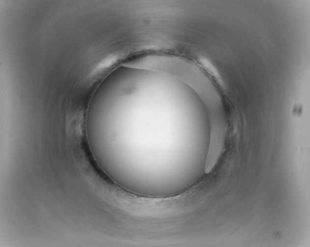 X0000089940023200707201913