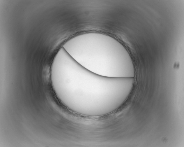 X0000089940024200707201913