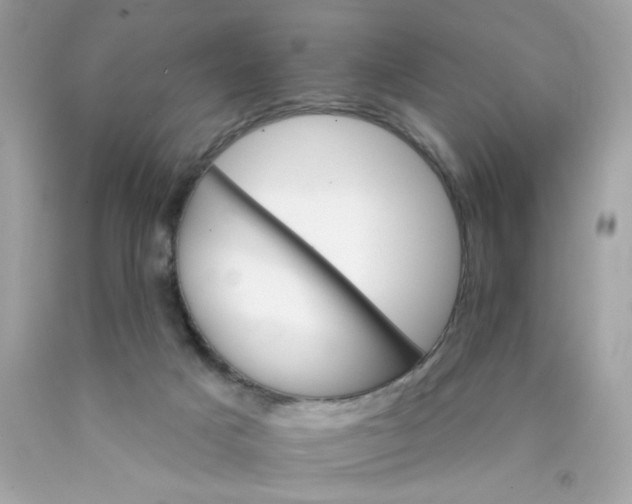 X0000089940025200707201913