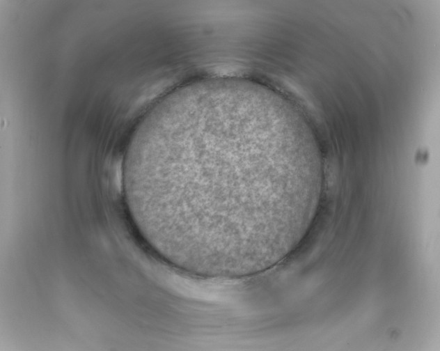 X0000089940028200707201913