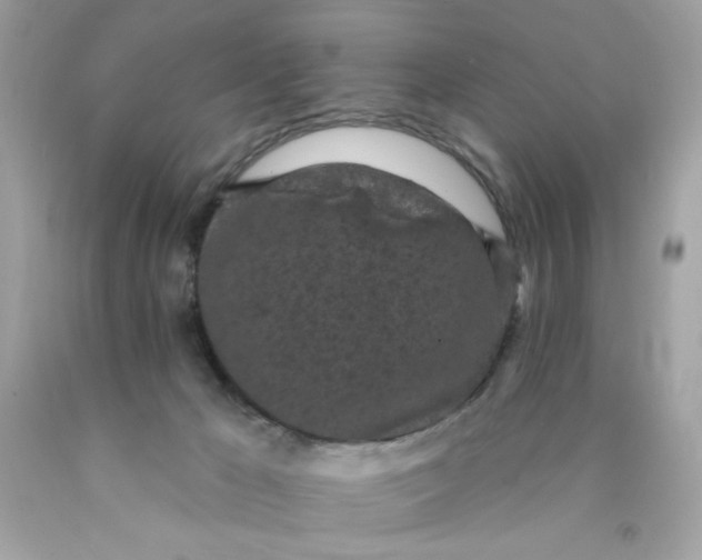 X0000089940029200707201913