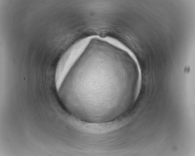 X0000089940030200707201913