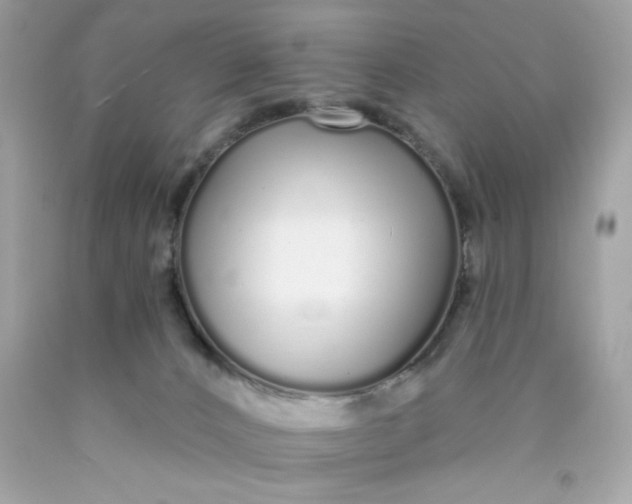 X0000089940032200707201913