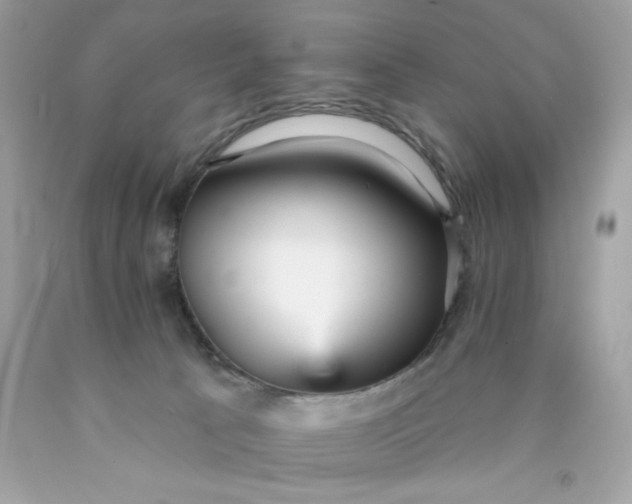 X0000089940033200707201913