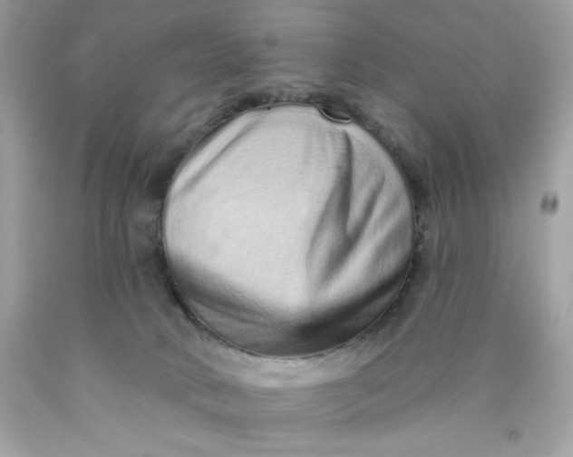 X0000089940034200707201913