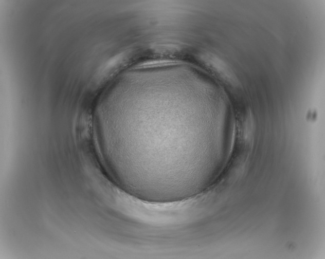 X0000089940038200707201913