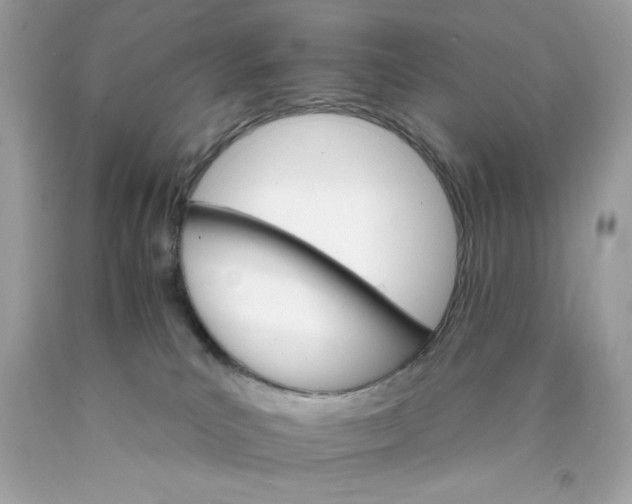 X0000089940039200707201913