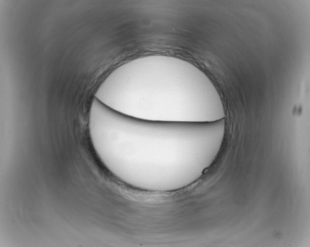 X0000089940040200707201913