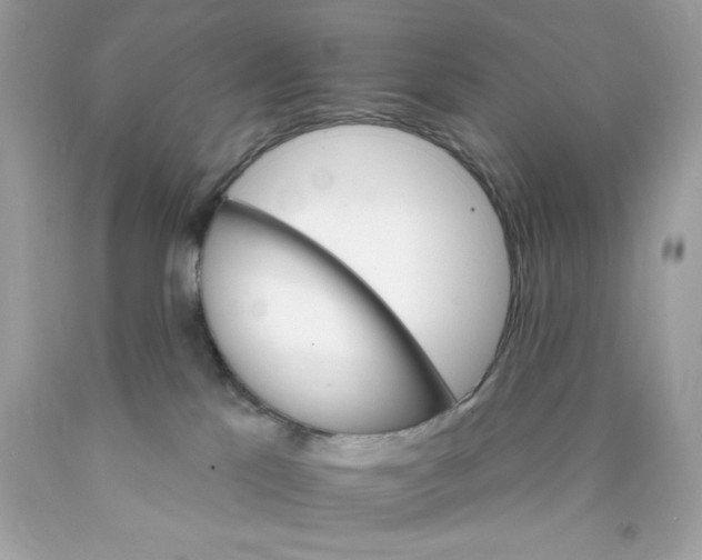 X0000089940041200707201913