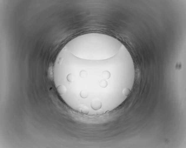 X0000089940042200707201913