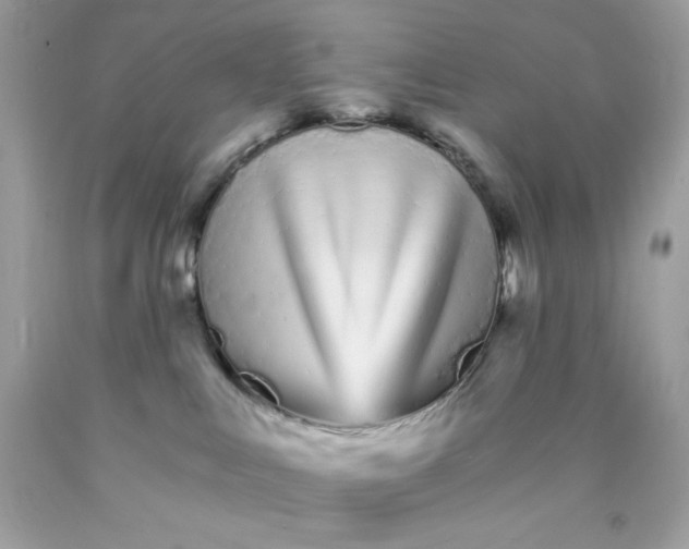 X0000089940043200707201913