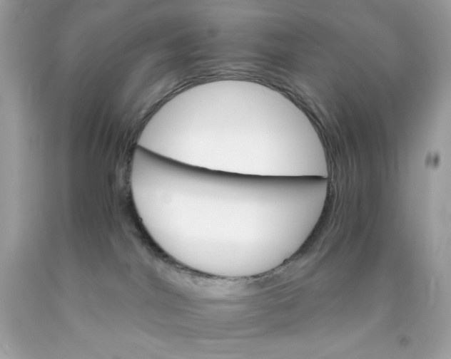 X0000089940044200707201913