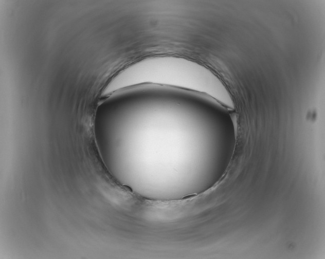 X0000089940045200707201913