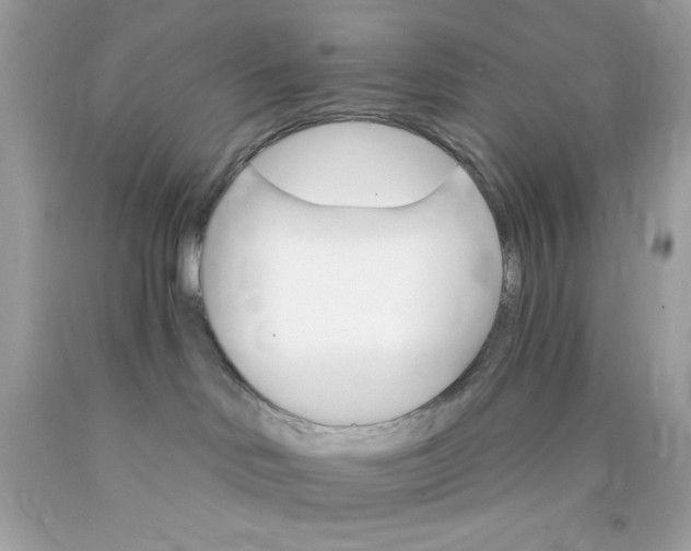 X0000089940046200707201913