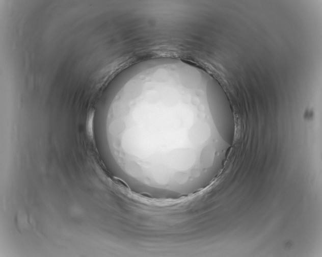X0000089940047200707201913