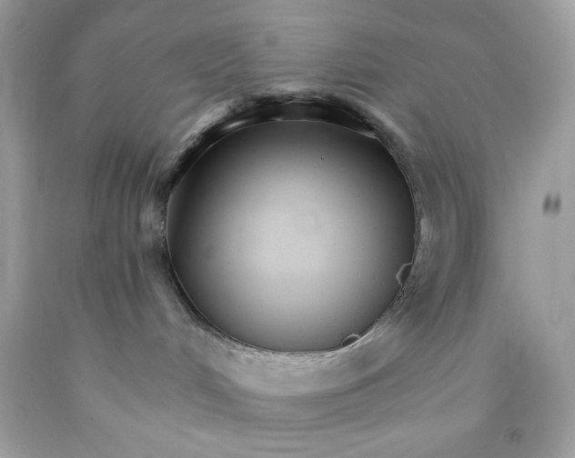 X0000089940048200707201913