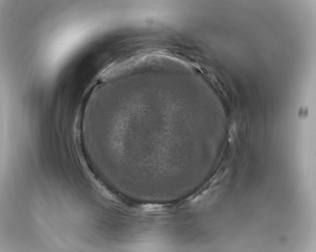 X0000089940052200707201912