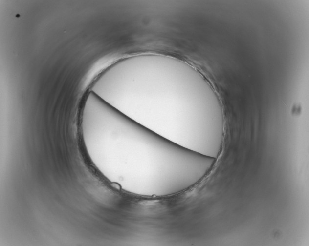 X0000089940054200707201912