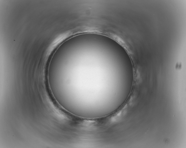 X0000089940055200707201912