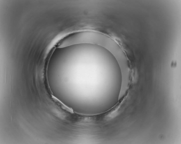 X0000089940056200707201912