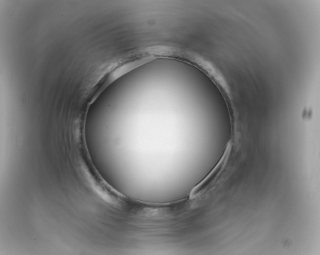 X0000089940057200707201912