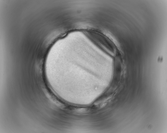 X0000089940058200707201912