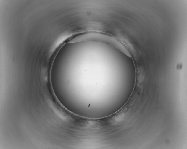 X0000089940060200707201912
