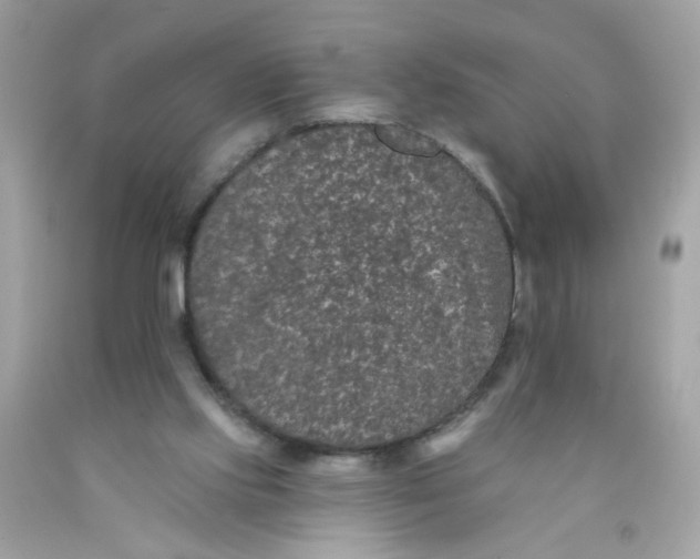 X0000089940061200707201912