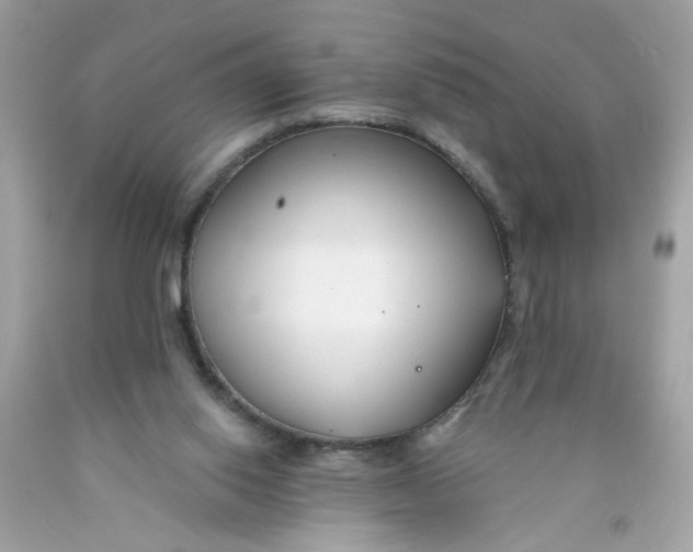 X0000089940062200707201912
