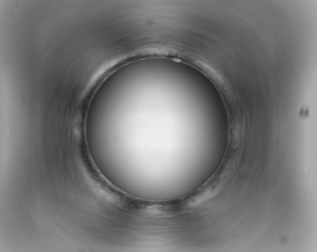 X0000089940064200707201912