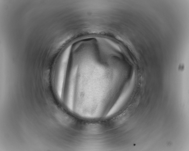 X0000089940066200707201912