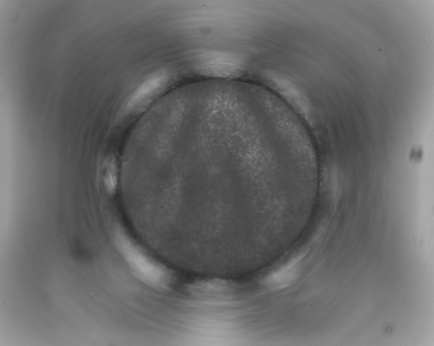 X0000089940069200707201912