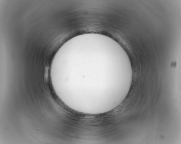 X0000089940070200707201912