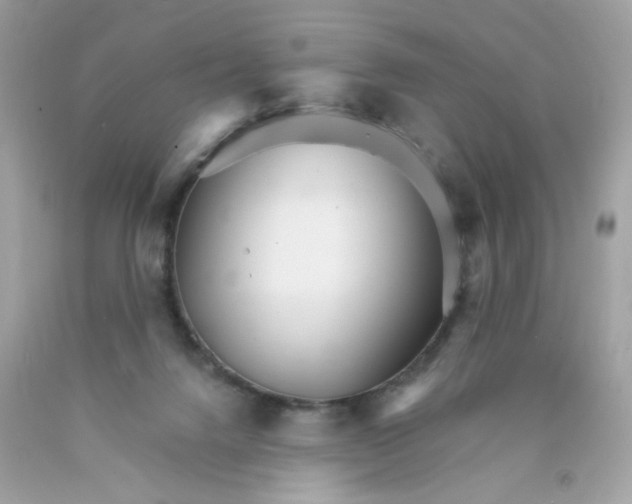 X0000089940072200707201912