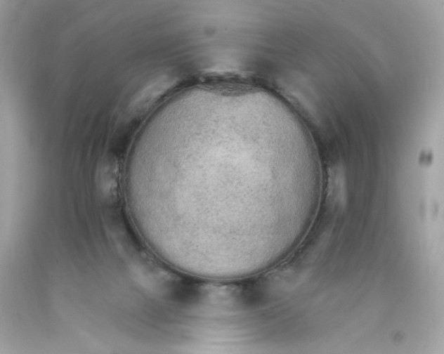 X0000089940073200707201912