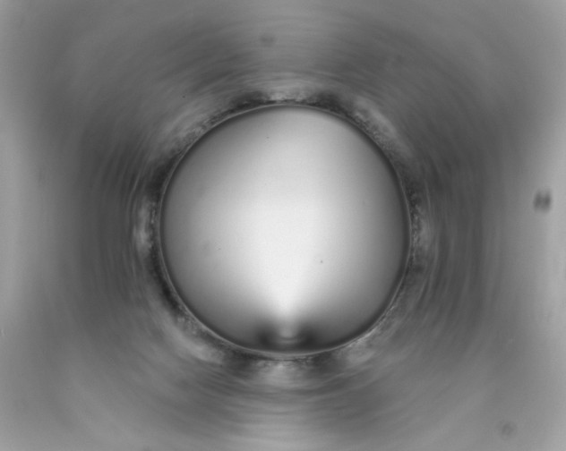 X0000089940074200707201912