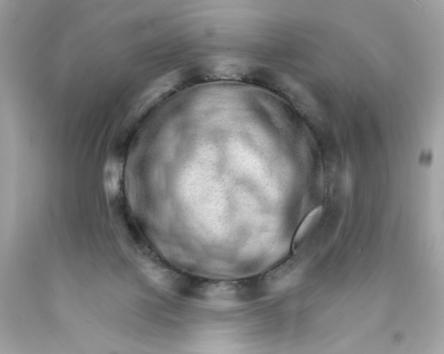 X0000089940075200707201912