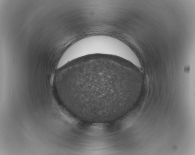 X0000089940076200707201912