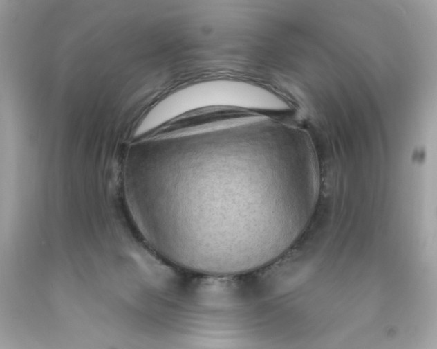 X0000089940077200707201912