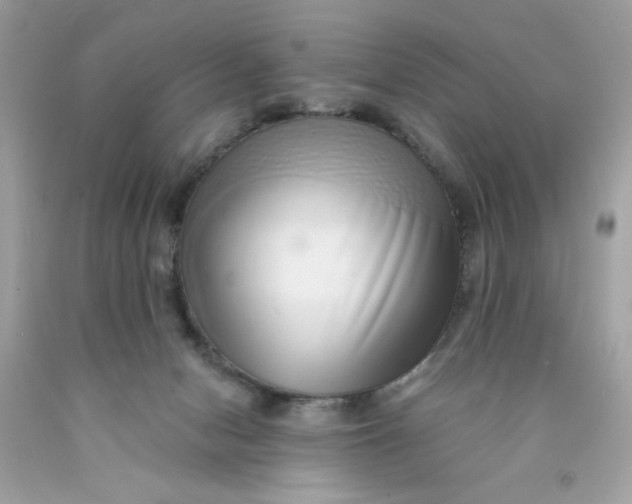 X0000089940078200707201913