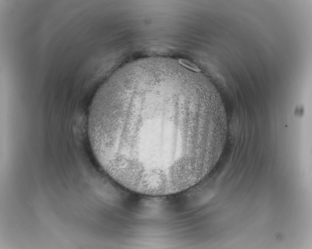 X0000089940079200707201913