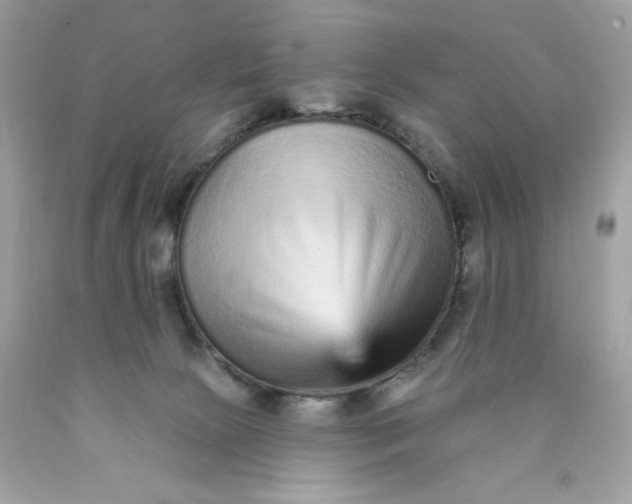 X0000089940081200707201913