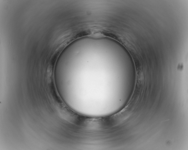 X0000089940082200707201913