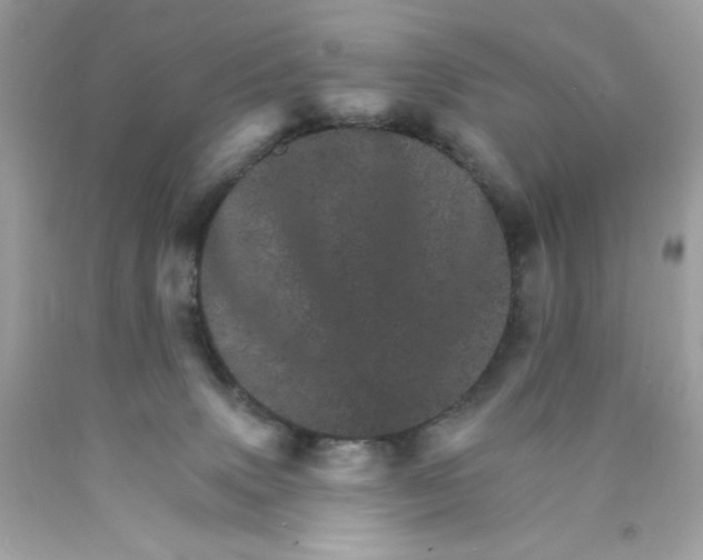 X0000089940083200707201913