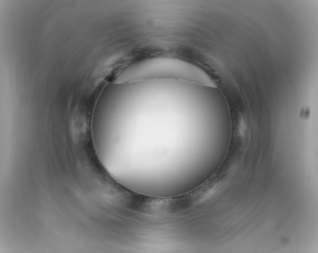 X0000089940084200707201913