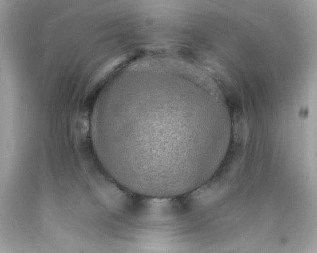 X0000089940085200707201913