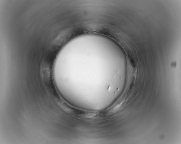 X0000089940086200707201913