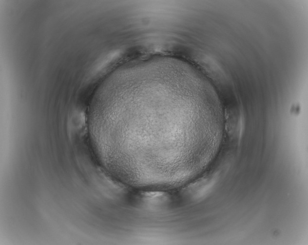 X0000089940087200707201913